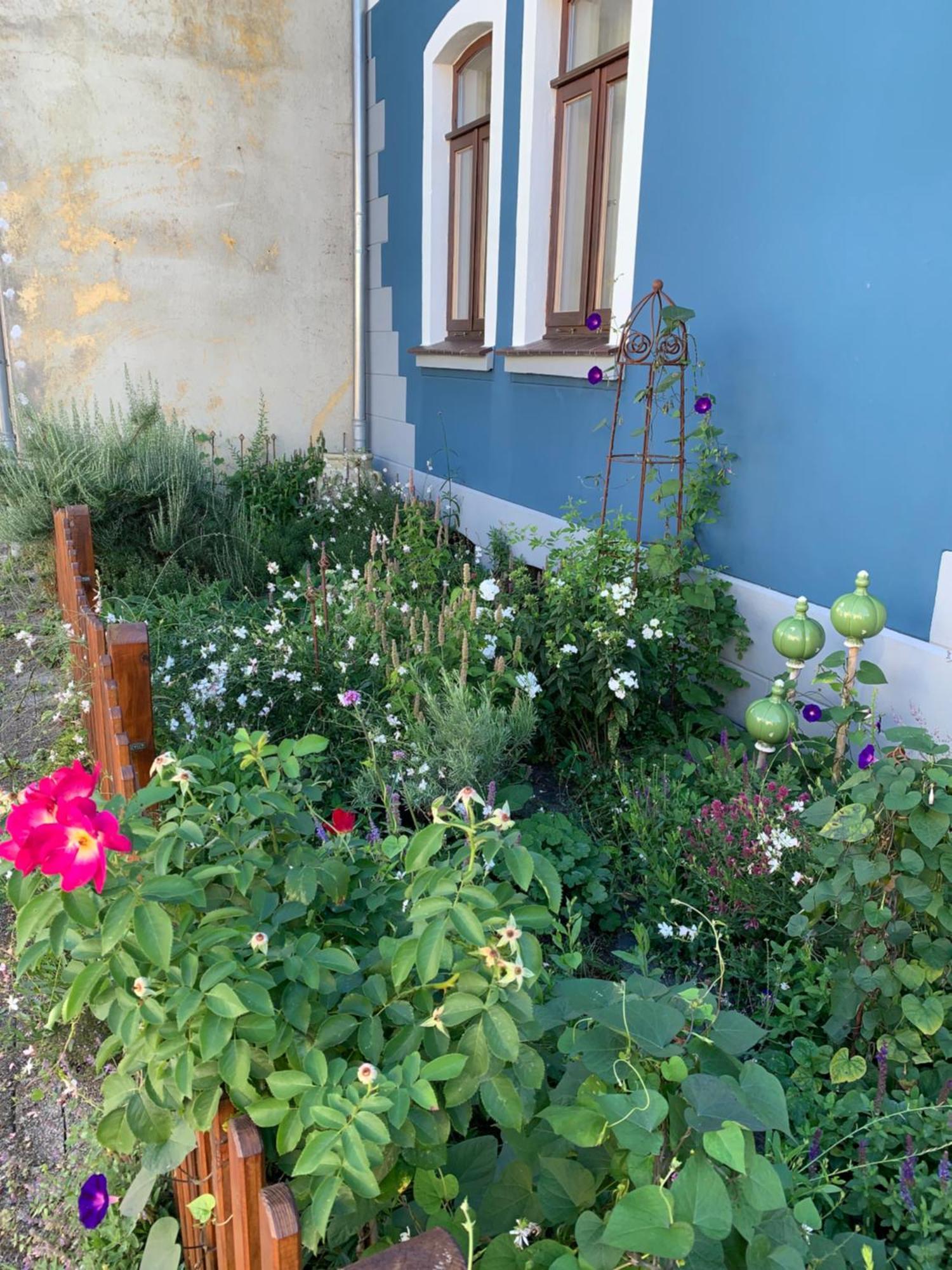 Gaestehaus Einsa Celle Bagian luar foto